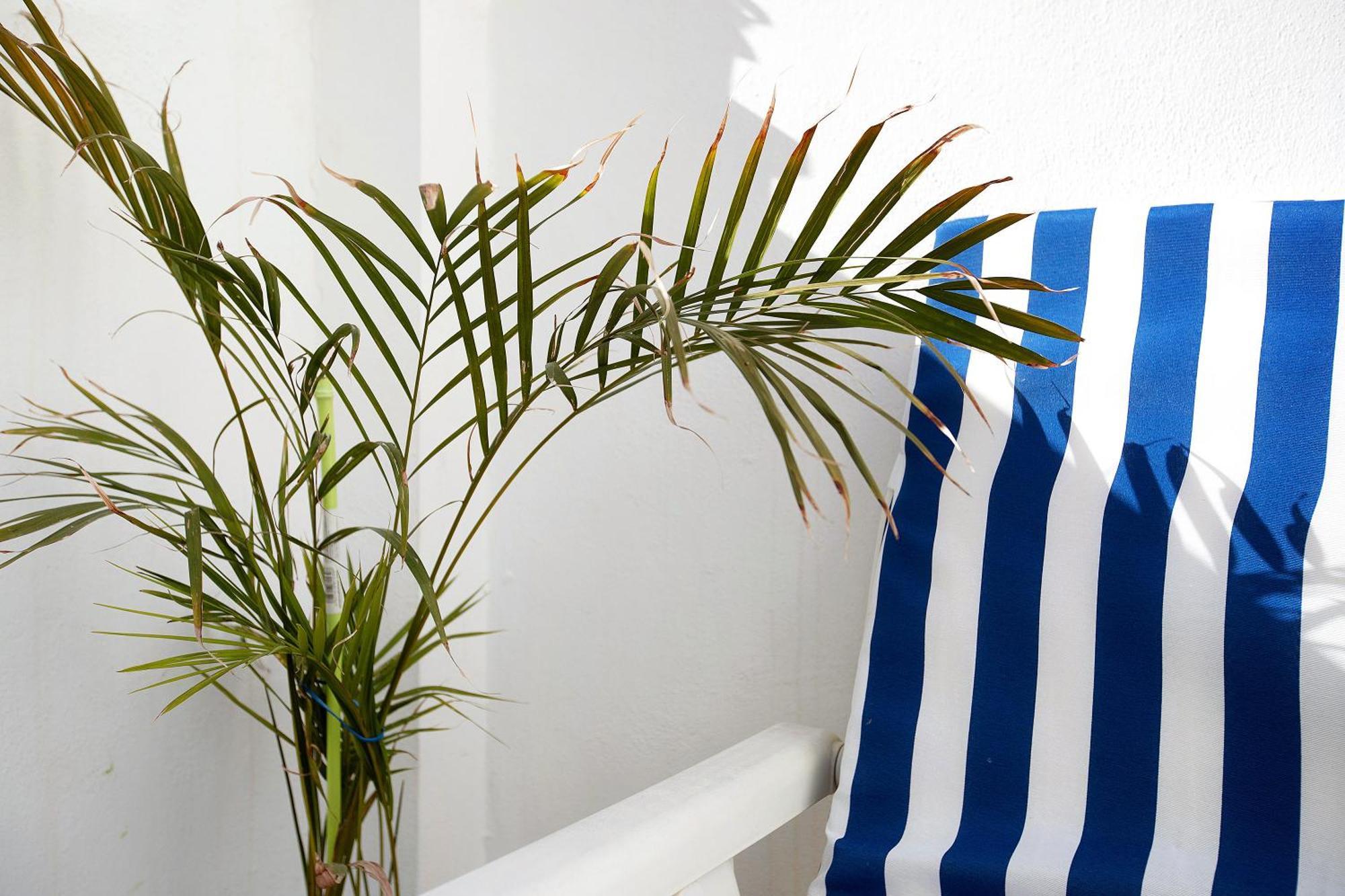 La Caleta Apartment La Cala De Mijas Ngoại thất bức ảnh